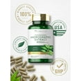 thumbnail image 6 of Andrographis Paniculata 8000 mg | 90 Capsules for Men and Women | by Carlyle, 6 of 8
