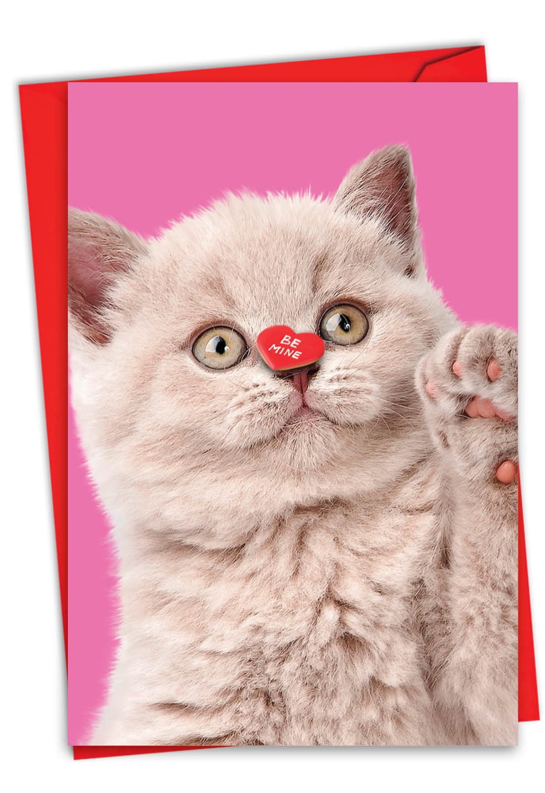 Jumbo-Valentinskarte Mit Katzenmotiv (21,6x27,9 Cm) - Love You This Much, Inkl. Umschlag