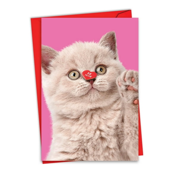 NobleWorks Valentine's Day Greeting Card with 5 x 7 Inch Envelope (1 Card) Heart Cats C9266AVDG