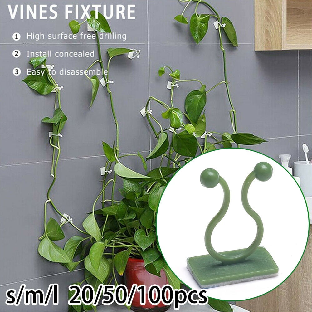 20/50/100PCS Invisible Plant Climbing Wall Clip Sticky Hook Vines Fixing Holder 