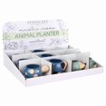 thumbnail image 1 of SCLNT POT ANML CRMC (Lot de 12), 1 of 1