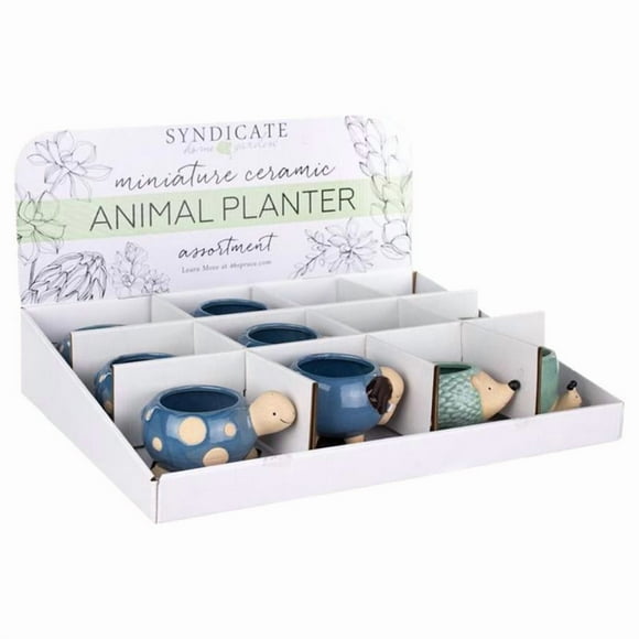 SCLNT POT ANML CRMC (Lot de 12)
