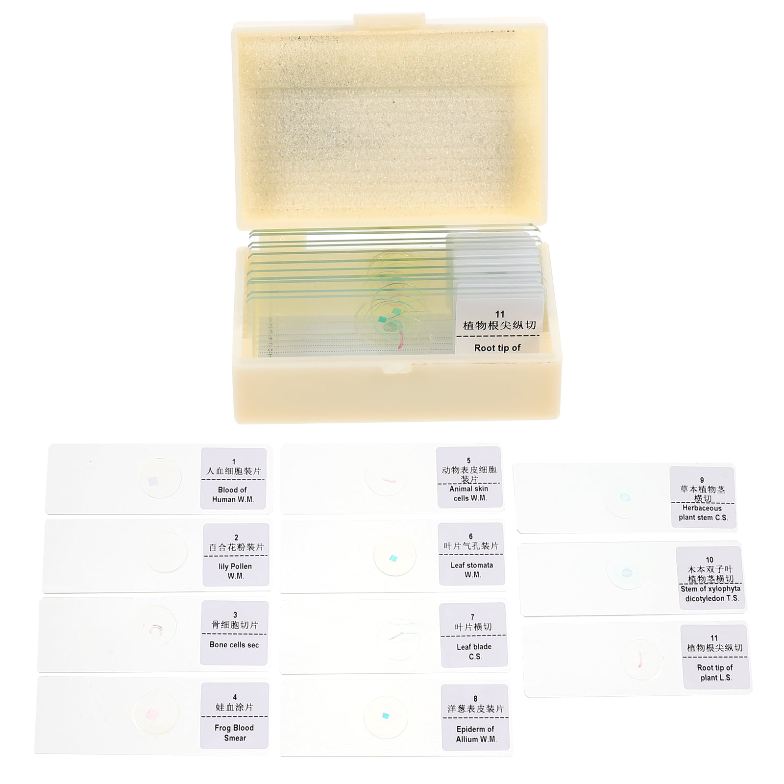 1 Set Bioexperiment Slides Microscope Slides Object Slide Labs Supplies ...