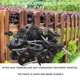 thumbnail image 4 of Aislador de cerca eléctrica de 25 piezas Aislador de tornillo Poste de anillo de cerca Poste de madera Aislador, ganado Fen, 4 of 5