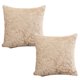 thumbnail image 1 of Funda de almohada de felpa para sala de estar, funda de almohada dorada de doble cara para sofá y dormitorio, 2 uds., 1 of 5