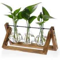 Firbon Plant Terrarium with Wood Stand, Air Planter Bulb Glass Vase Metal Swivel Holder