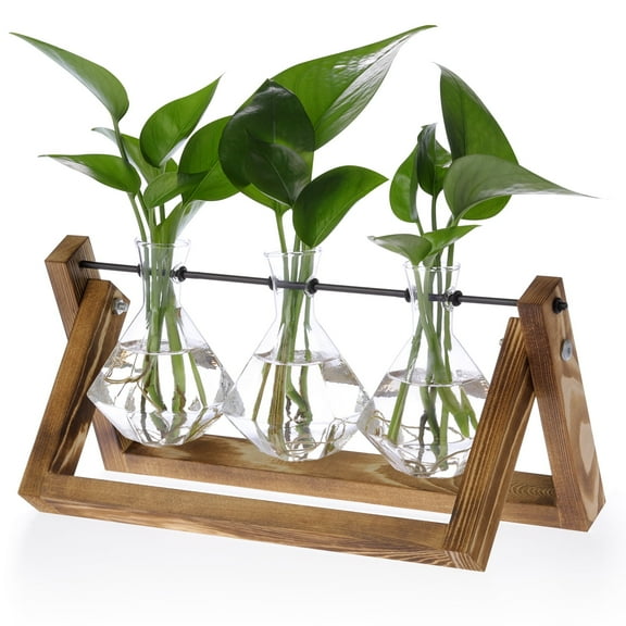 Firbon Plant Terrarium with Wood Stand, Air Planter Bulb Glass Vase Metal Swivel Holder