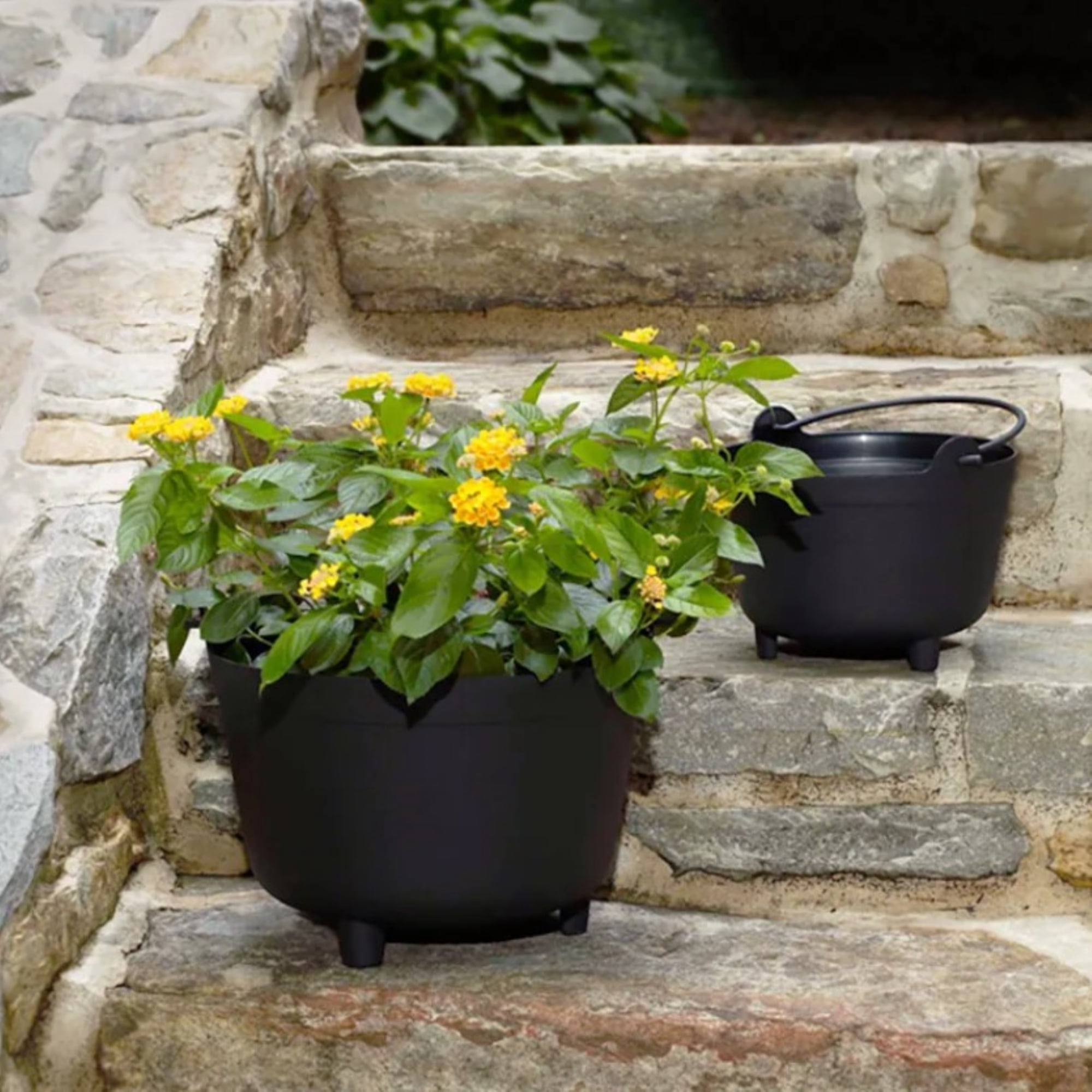 Root & Vessel Antique Kettle Planter, Black, 15"