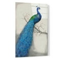 thumbnail image 2 of Epic Art 'Peacock Blue I' by Tim O'Toole, Acrylic Glass Wall Art, 16"x24", 2 of 3