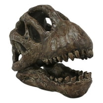 Faux Taxidermy Replica Brachiosaurus Dinosaur Head Fossil Small Skull Figurine