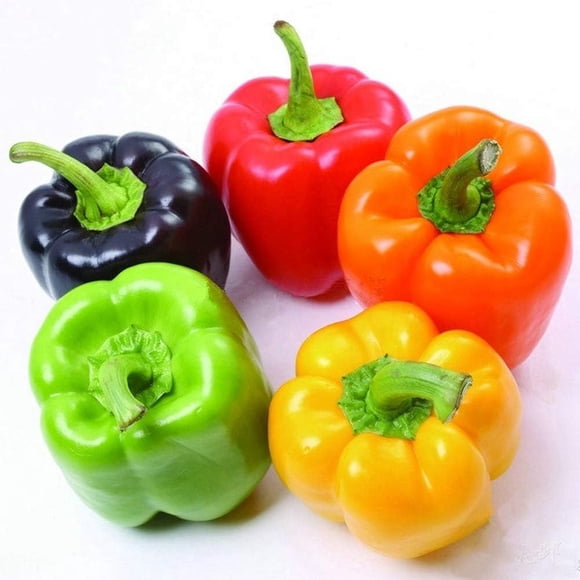 GSDWIUEW Graines de Poivron Doux Arc-en-Ciel 20+ Biologiques Capsicum frutescens Mélange Doux Fruits Colorés Légumes Biologiques Piment Haut de Gamme Plantes Graines pour Plantation Jardin Extérieur