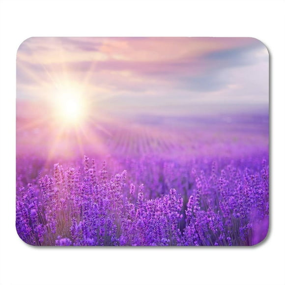 NUDECOR Purple Flower Sunset Over Violet Lavender Field in Provence France Blue Garden Mousepad Mouse Pad Mouse Mat 9x10 inch