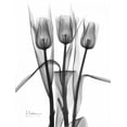 thumbnail image 2 of Koetsier, Albert 19x24 Black Ornate Wood Framed with Double Matting Museum Art Print Titled - Triplet Tulips in BandW, 2 of 4