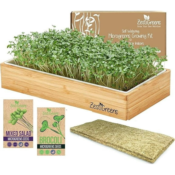 Self Watering Microgreens Growing Kit. Hands Down the Easiest Way to Grow Microgreens. Includes Microgreens Tray, Seeds, Mats, and Bamboo Surround. No Soil Needed. Easy Setup. (Salad & Broccoli)