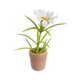 thumbnail image 3 of Flores en maceta en miniatura, planta de casa de muñecas, Mini bonsái, miniplanta en maceta, flores con maceta de cerámica, 3 of 9