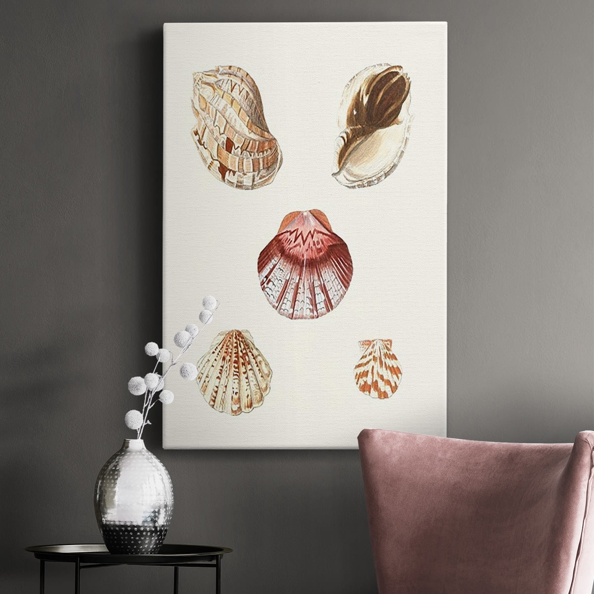 Pastel Knorr Shells V Premium Gallery Wrapped Canvas - Ready to Hang