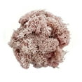thumbnail image 2 of Bergamo Art 450g Preserved Reindeer Moss in Pink, 2 of 4