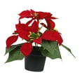 thumbnail image 4 of Arreglo Floral De Flor De Pascua En Maceta Para Regalo De Navidad Para Fiesta Navideña De Oficina, 4 of 8