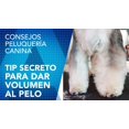 thumbnail image 2 of Mousse para mascotas ARTERO Zoom Extra Volumen 150 ml, 2 of 2