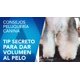 thumbnail image 2 of Mousse para mascotas ARTERO Zoom Extra Volumen 150 ml, 2 of 2