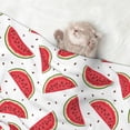 thumbnail image 2 of Pofeuu Watermelon Print Puppy Blanket,Dog Blankets,Pet Blanket Cozy Cat Blankets for Indoor Cats, Fuzzy Pet Blanket for Kitten Doggy Dog Blankets-Medium, 2 of 8