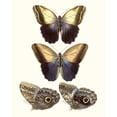 thumbnail image 3 of Unknown 20x24 Black Modern Framed Museum Art Print Titled - Violet Butterflies III, 3 of 5