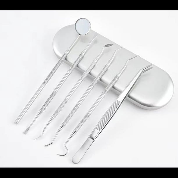Removedor de placa para dientes, herramientas dentales portátiles, púas dentales de acero inoxidable para limpieza de dientes, cuidado bucal para adultos y niños