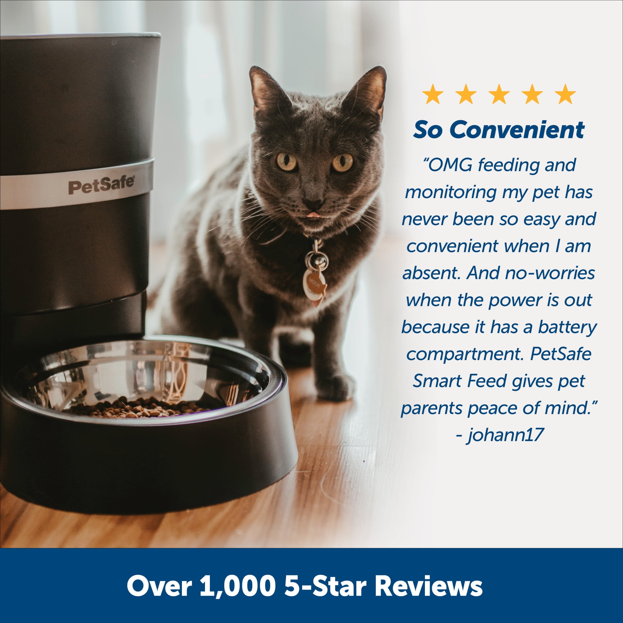 PetSafe Smart Feed Automatic Feeder for Dogs and Cats 2nd Generation Walmart