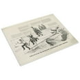 thumbnail image 3 of Print: Political Blondins Crossing Salt River, 1860, 3 of 4