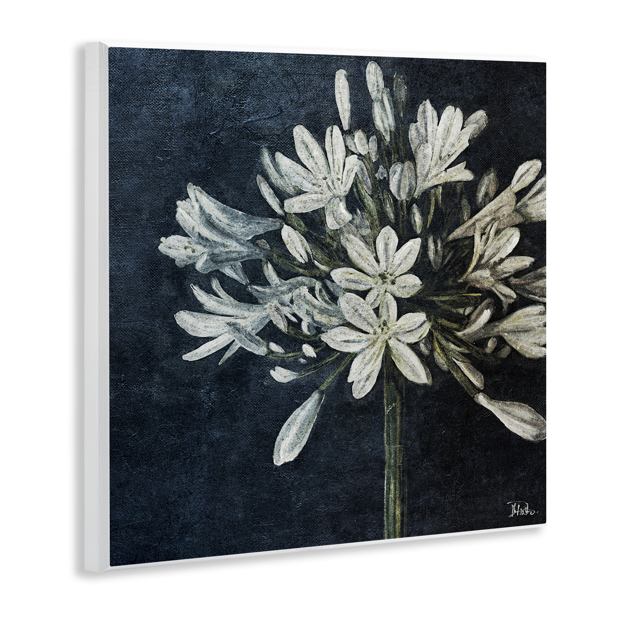Stupell Industries White Herb Blooms Botanical & Floral Painting Unframed Art Print Wall Art, 12 x 12