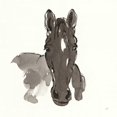 thumbnail image 3 of Paschke, Chris 15x15 Black Modern Framed Museum Art Print Titled - Horse Portrait IV, 3 of 5