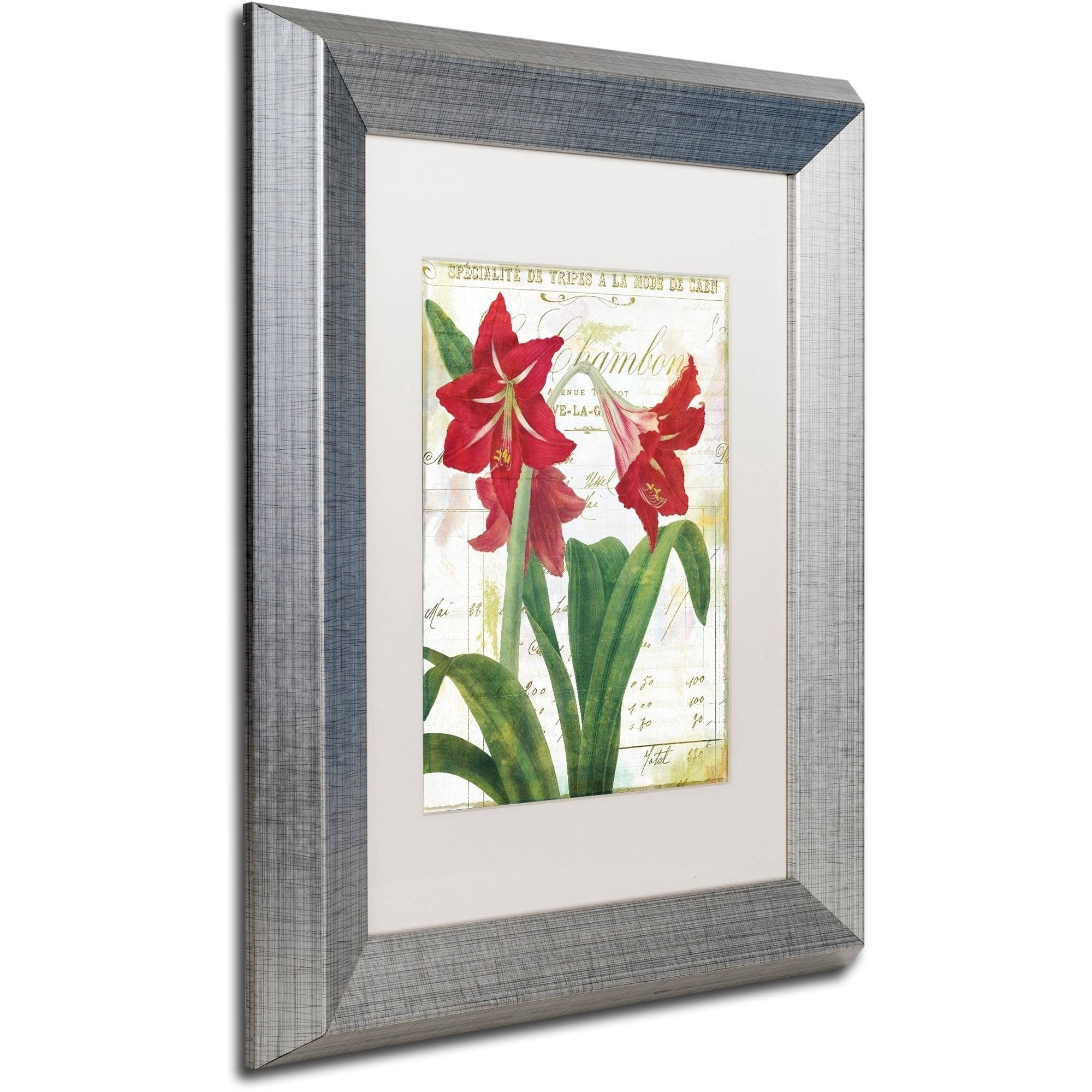 Trademark Fine Art "Peppermint Amaryllis" Canvas Art by Color Bakery White Matte, Silver Frame