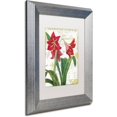 thumbnail image 2 of Trademark Fine Art "Peppermint Amaryllis" Canvas Art by Color Bakery White Matte, Silver Frame, 2 of 4