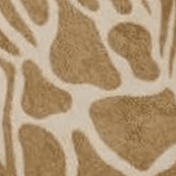 Camel Multi