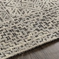 thumbnail image 6 of BoutiqueRugs Nairne Bohemian, Transitional Area Rug - Black, Gray, Taupe - 2' x 3', 6 of 8