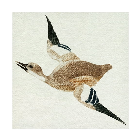 Trademark Fine Art Johan Teyler  Flying Ducks II Canvas Wall Art