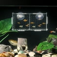 thumbnail image 2 of Balacoo - Caja de aislamiento transparente para cría de peces, incubadora de acuarios, cajas de eclosión, soporte acrílico multifuncional para pecera (con ventosa), 2 of 6