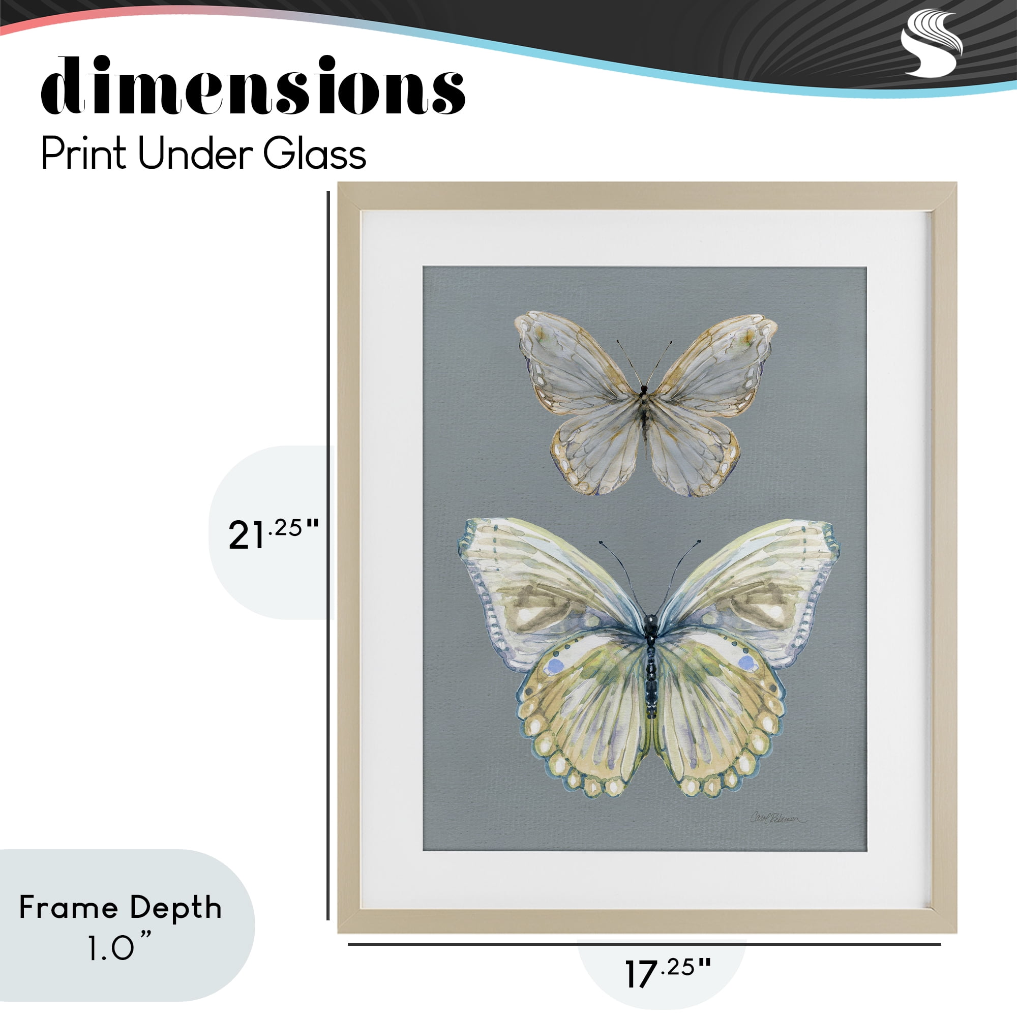 Stupell Industries Butterfly Pair Study Birch Framed Print Under Glass, design by Carol Robinson