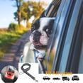 thumbnail image 5 of Cinturón de seguridad para perros antichoque para automóvil con arnés de seguridad Bungee Buffer (negro) oso de fresa  Hogar, 5 of 5
