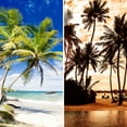 thumbnail image 7 of Oriental Furniture 6 ft. Tall Sunset Palms Canvas Room Divider - 3 Panel, 7 of 7