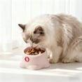 thumbnail image 5 of Cat Slow Feeders Elevated Cat Bowls,Cat Food Bowl Cat Feeding Station,Outdoor Cat Water Bowl Kitty Bowl,Pet Bowl Dog Bowl for Small Dogs, 5 of 6