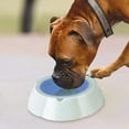 thumbnail image 6 of Pet Frosty Bowl for Dogs and Cats Stable Base Detachable Design for Food and Water Versatile Indoor and Outdoor Use, 6 of 6