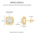 thumbnail image 4 of Rosec Jewels Lab Grown Diamond Stud Earrings for Women (EF-VS Quality) - Ready to Gift with Jewelry Box, 14K Yellow Gold, 4 of 6