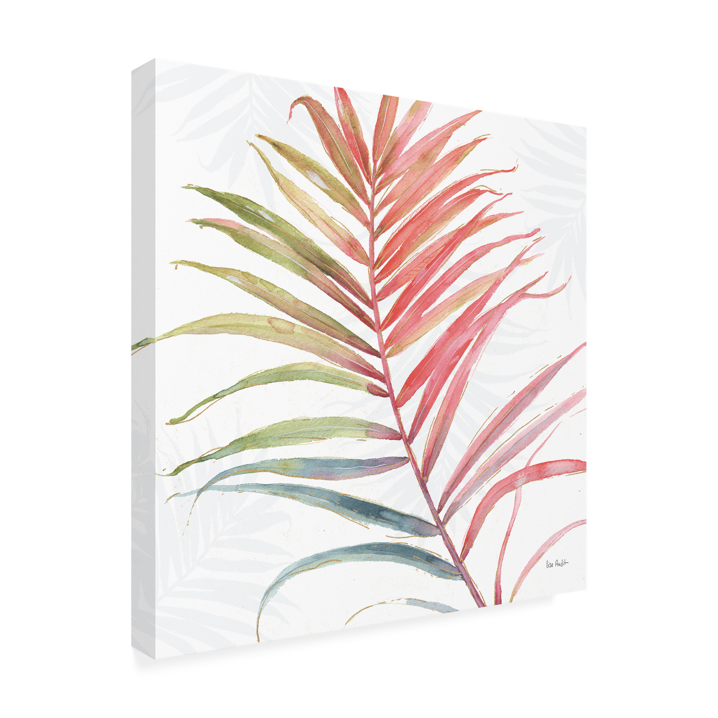 Trademark Fine Art "Tropical Blush VI" Canvas Art by Lisa Audit