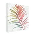 thumbnail image 4 of Trademark Fine Art "Tropical Blush VI" Canvas Art by Lisa Audit, 4 of 4