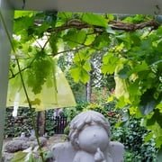 50PCS Fruit Protection Netting Bags for Fruit Trees, Garden Mesh Barrier Bags to Protect Plants from Pest Birds Squirrels, Fruit Cover Mesh Bag with Drawstring, Reusable, Green