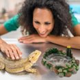thumbnail image 4 of Shisuyan Accessoires pour Reptiles Résine 1Ensemble 6.3x4.3x3.1in, 4 of 9