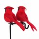 thumbnail image 1 of Pájaro Artificial Plumas de espuma artificial loros artesanía imitación pájaro jardín decoración (rojo) Ndcxsfigh Libre de BPA, 1 of 5