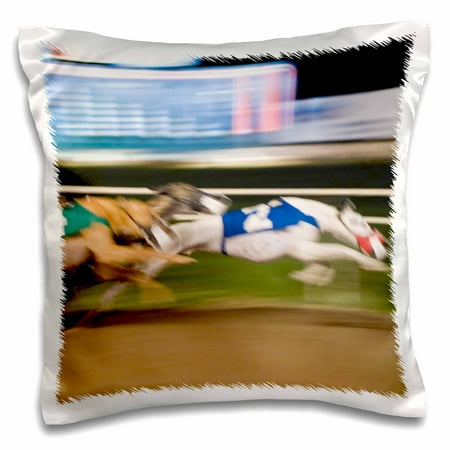 - 3dRose West Memphis, Arkansas. Greyhound races - US04 MDE0002 - Michael DeFreitas - Pillow Case, 16 by 16-inch