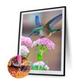 thumbnail image 2 of Wdftyju 5D DIY Diamante Pintura Colibrí en Flor Taladro Cuadrado Completo (30x40CM) Wdftyju 7ae0jy3bc3ur7wn0D02, 2 of 9